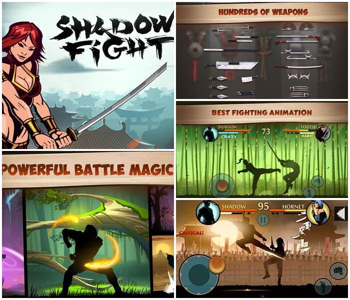 app-jogo-shadow-fight-2
