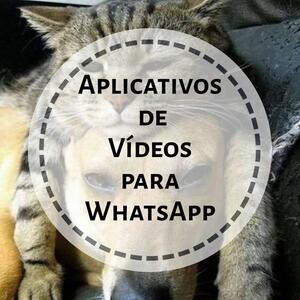 17 Aplicativos de Vídeos para WhatsApp (Atualizado)